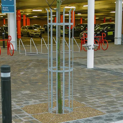 Metal Tree Guard - Pathway